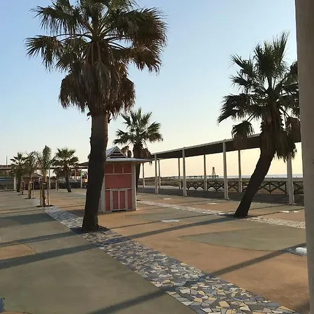 La Michaelenanne * Leucate