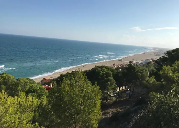 La Michaelenanne